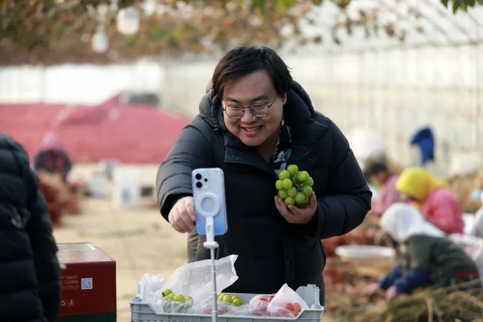 27歲海歸名校生  回到村裡賣葡萄