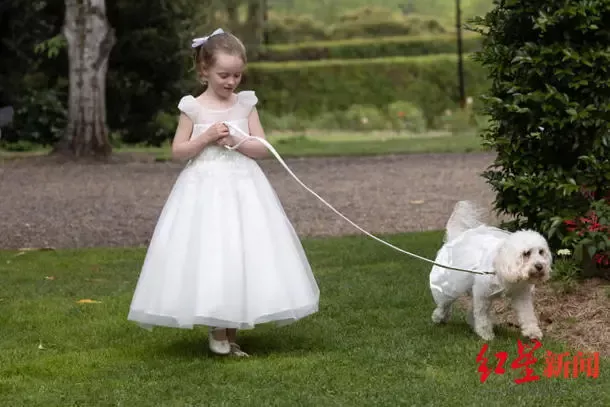 澳总理低调完婚 成为澳首位任内结婚的领导人