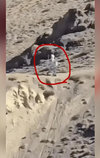 登上热搜  中方派机器人守中印边境