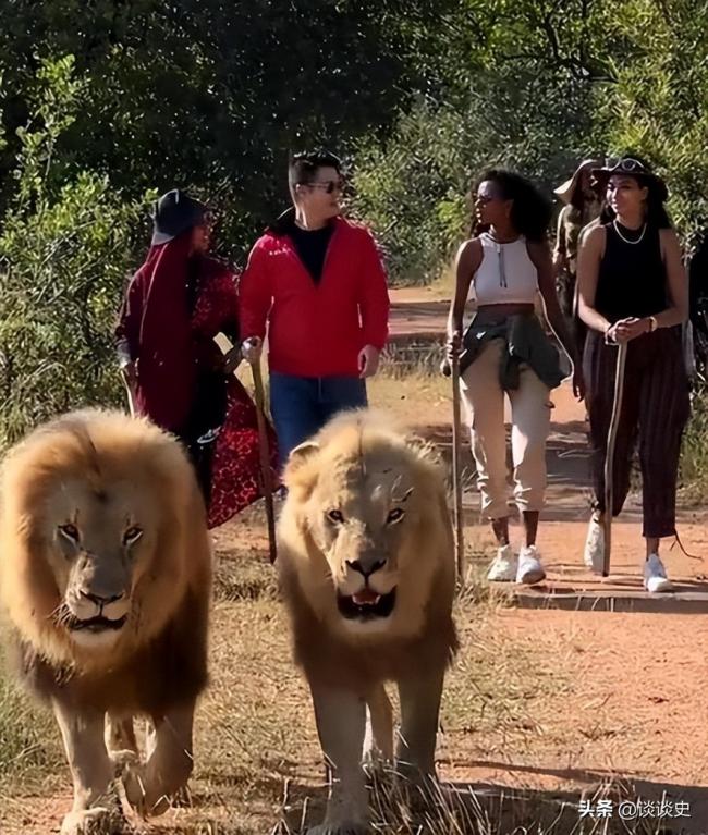 土皇帝王垚 丰臀辣妹当助理 却多次被官媒表扬 土皇帝王垚 丰臀辣妹当助理 却多次被官媒表扬