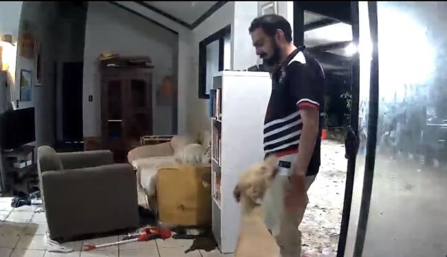 狗狗开门让牛马都进屋开party 主人回家后傻了… 狗狗开门让牛马都进屋开party 主人回家后傻了…