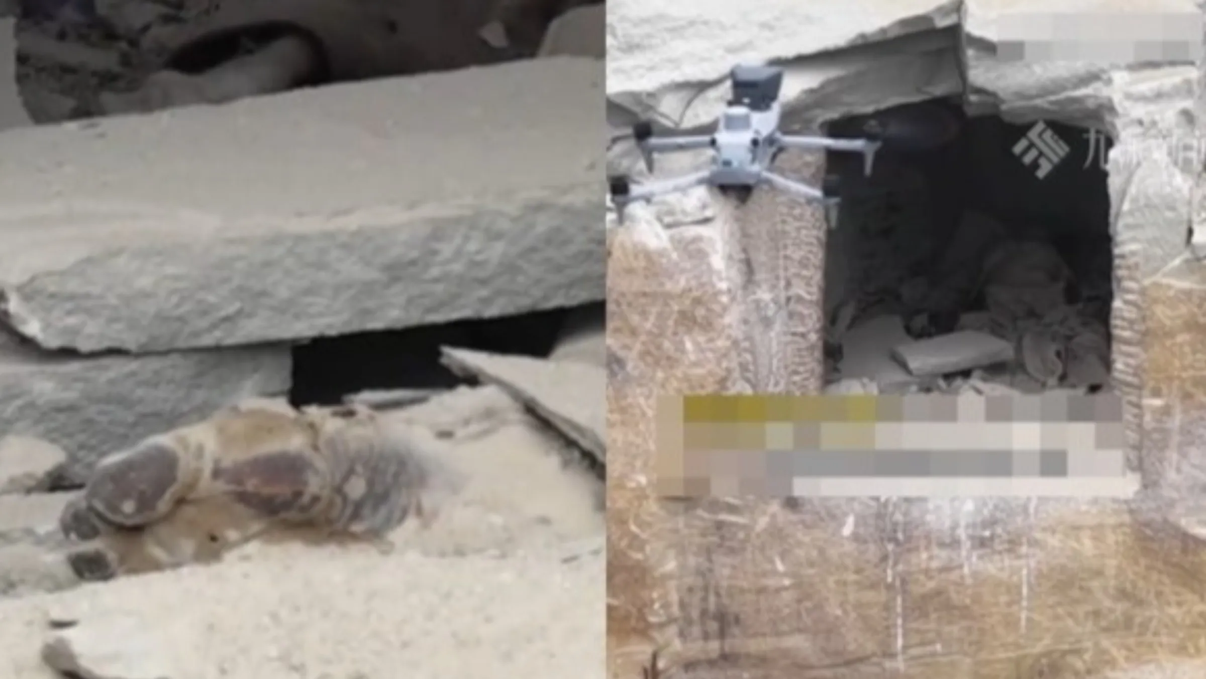 失踪近半年...重庆男子终于被找到 真相惊悚 失踪近半年...重庆男子终于被找到 真相惊悚