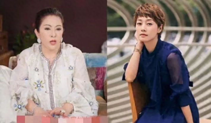 向太曝大料！49岁马伊琍低调再婚