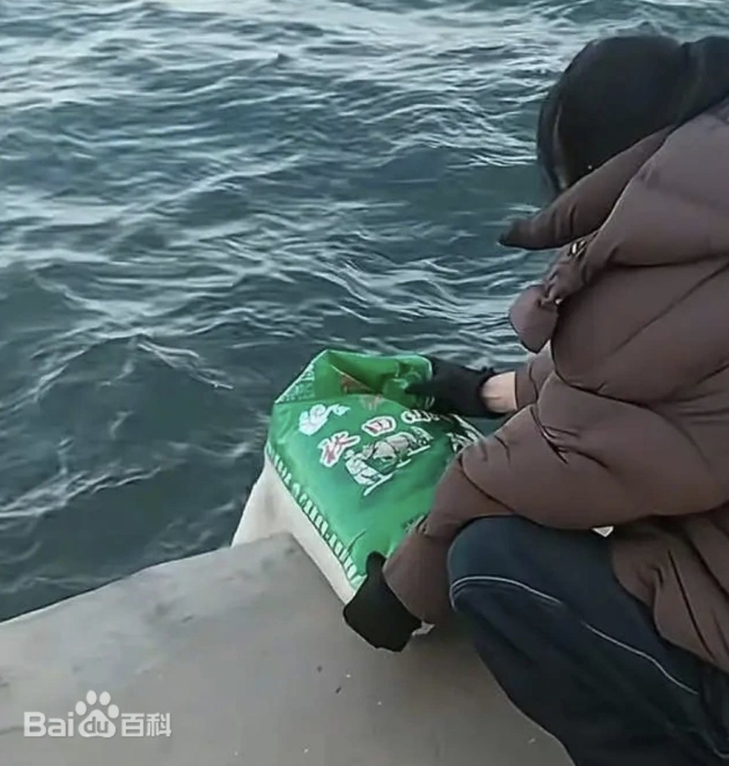 近期有大陆民众在辽宁葫芦岛一处海边码头向海中倾倒大米,表示在「放生」大米。(图/... 近期有大陆民众在辽宁葫芦岛一处海边码头向海中倾倒大米,表示在「放生」大米。(图/...