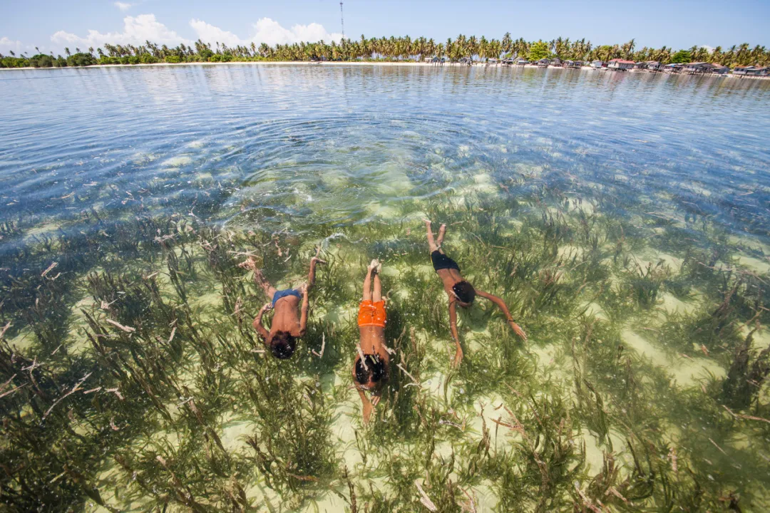 全球唯一無國籍的民族,一輩子生活在海里 全球唯一無國籍的民族,一輩子生活在海里