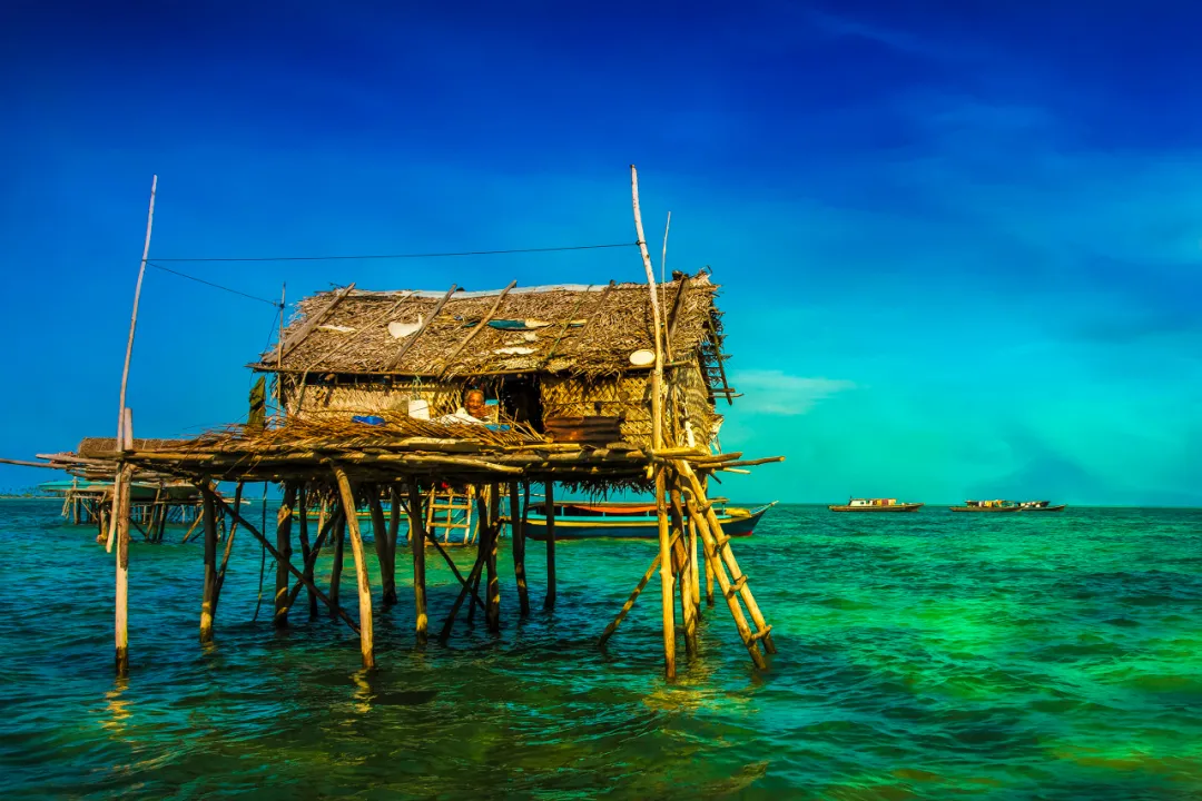 全球唯一無國籍的民族,一輩子生活在海里 全球唯一無國籍的民族,一輩子生活在海里