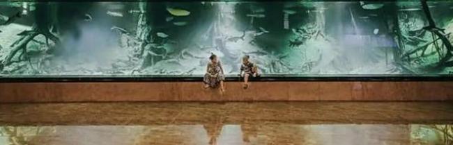 中国三大运营商向美“下跪”，陈志妻子女儿被曝