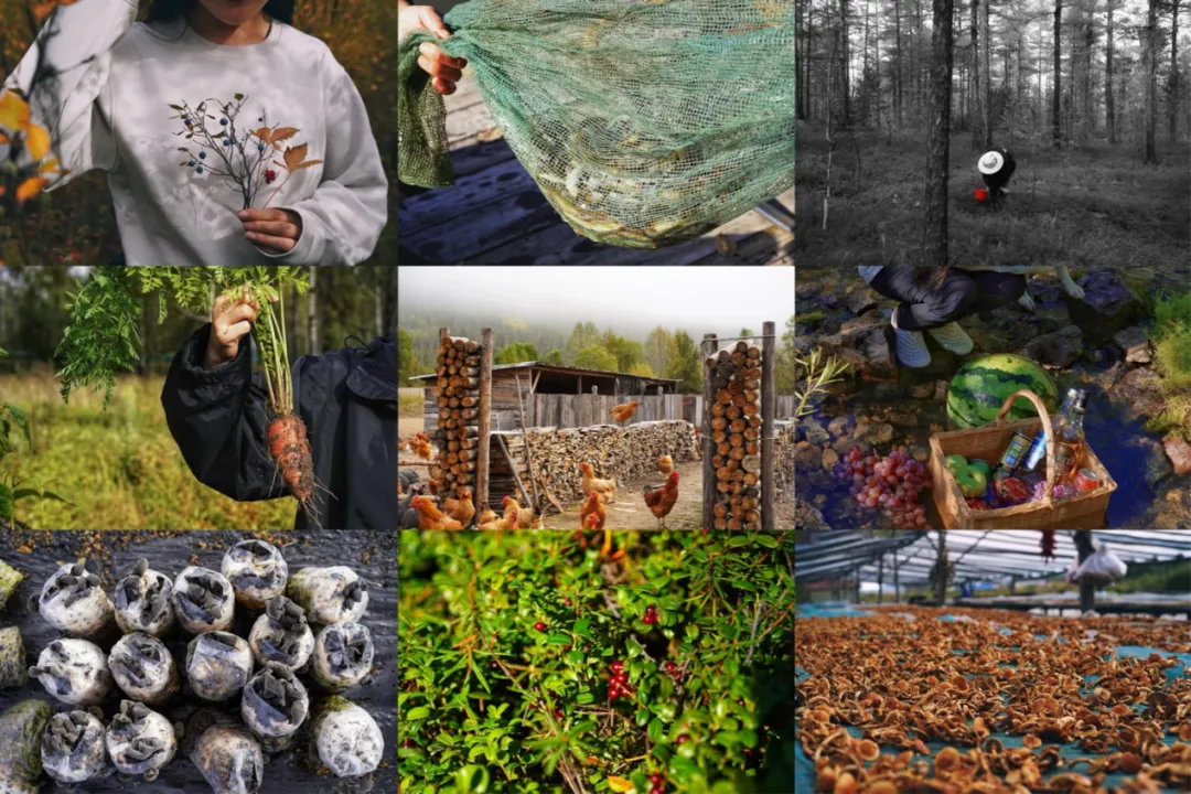 去兴安岭“猫冬”，年轻人在东北“重启生活”