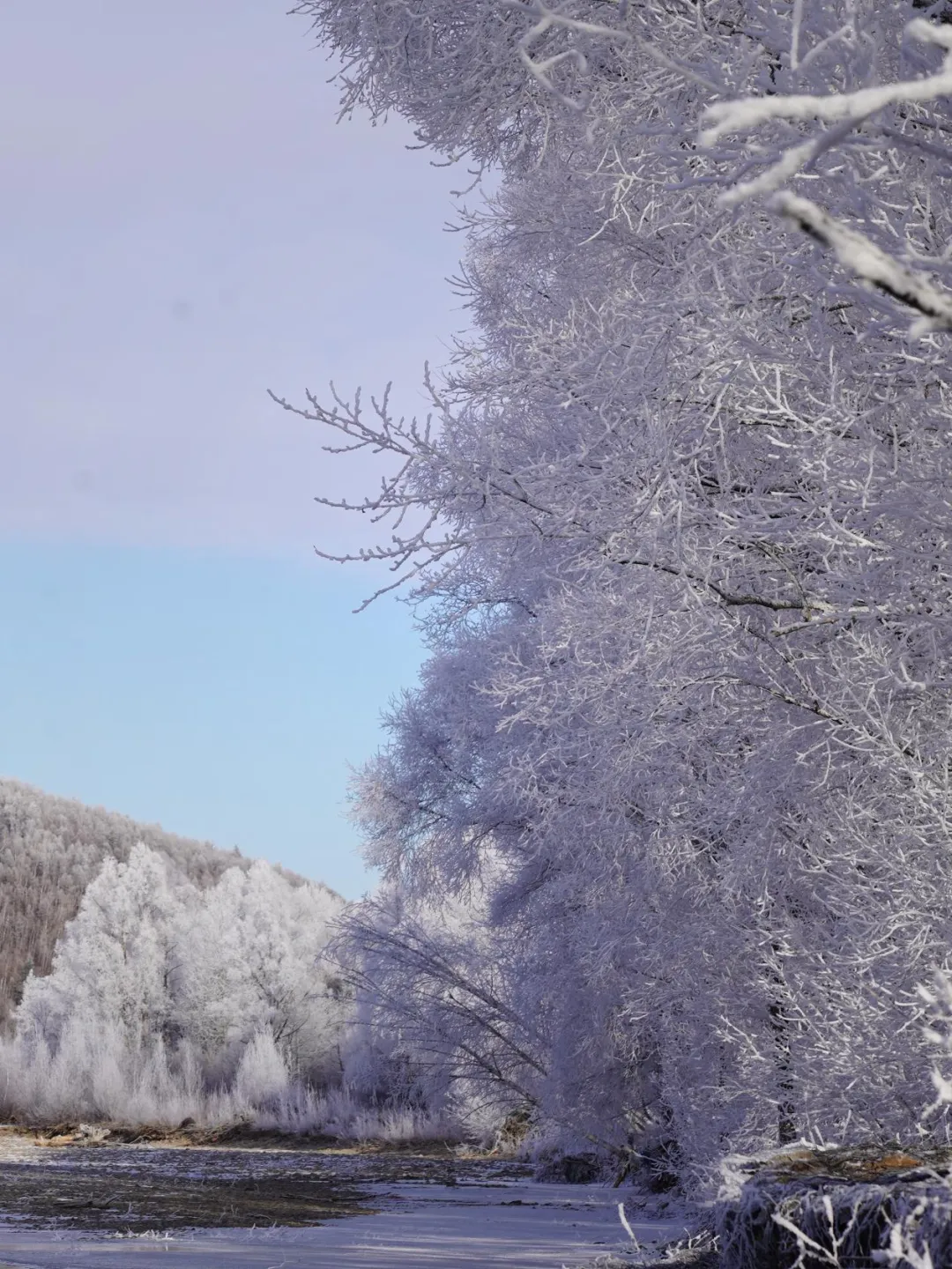 去兴安岭“猫冬”，年轻人在东北“重启生活”