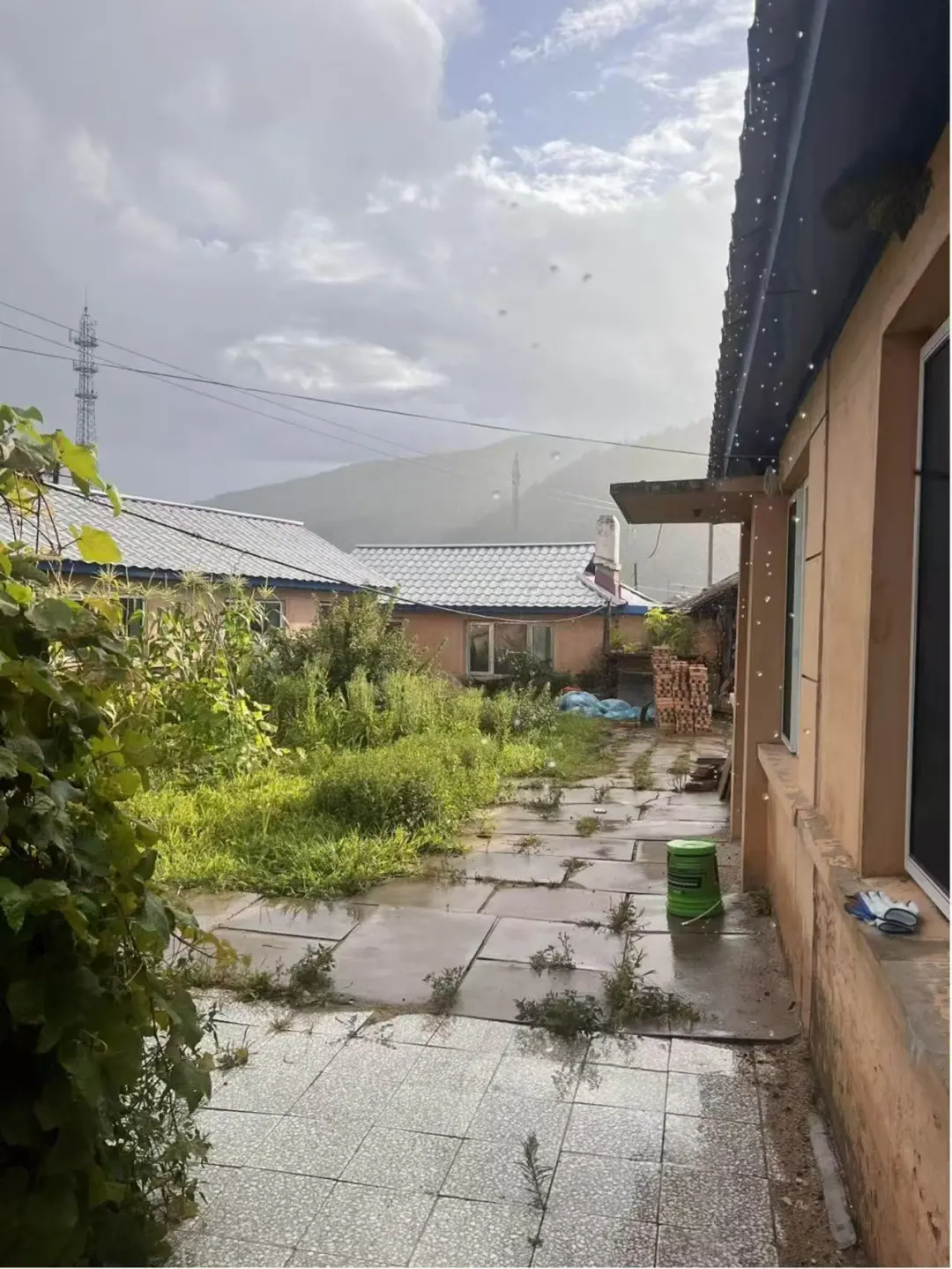 去兴安岭“猫冬”，年轻人在东北“重启生活”