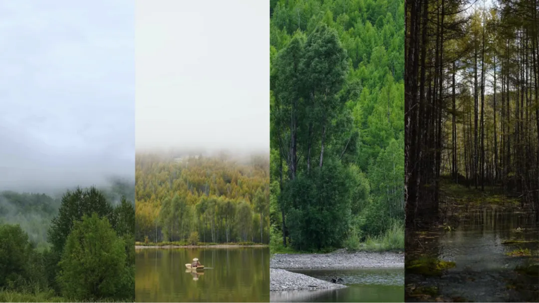 去兴安岭“猫冬”，年轻人在东北“重启生活”