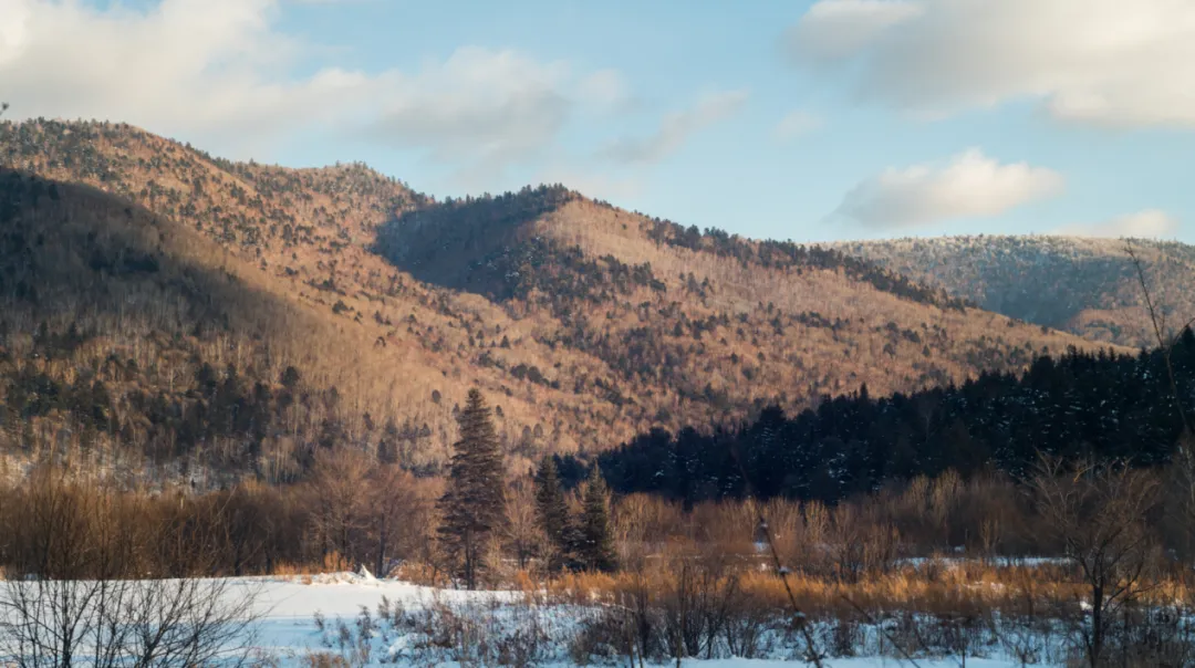 去兴安岭“猫冬”，年轻人在东北“重启生活”