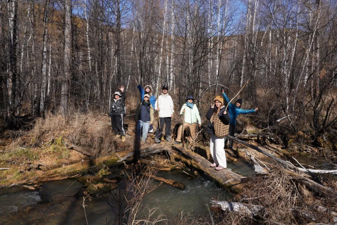 去兴安岭“猫冬”，年轻人在东北“重启生活”