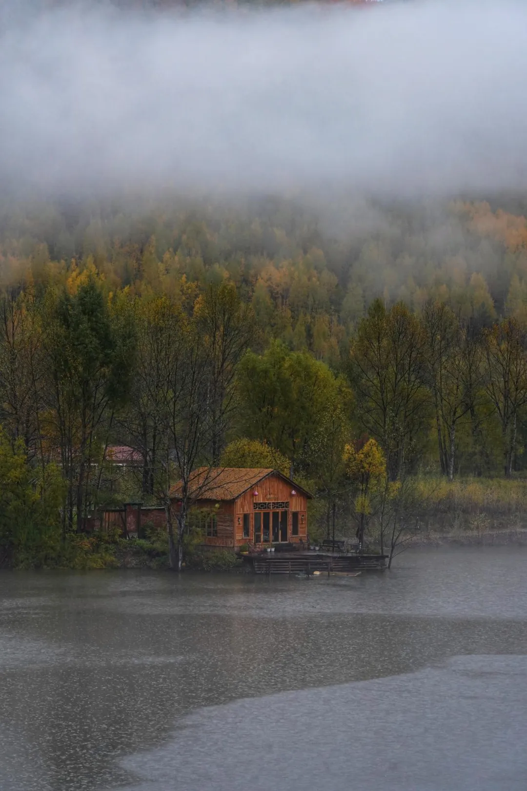 去兴安岭“猫冬”，年轻人在东北“重启生活”