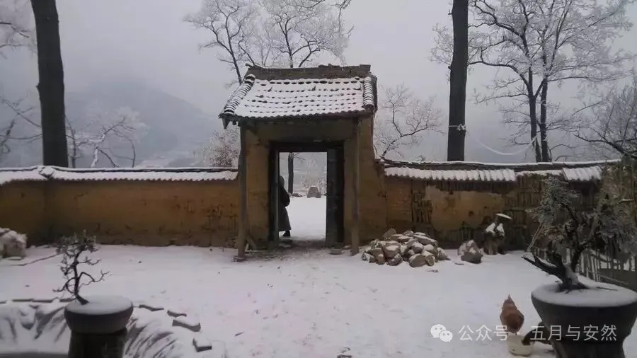 隐居终南山的他，活成了我们不敢活的模样