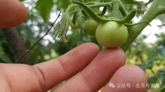 隐居终南山的他，活成了我们不敢活的模样