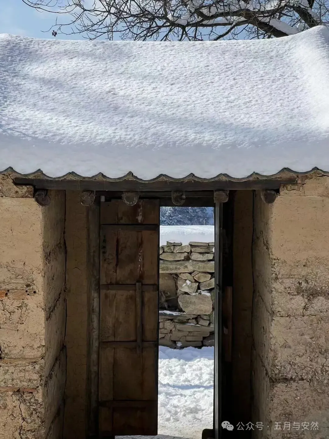 隐居终南山的他，活成了我们不敢活的模样