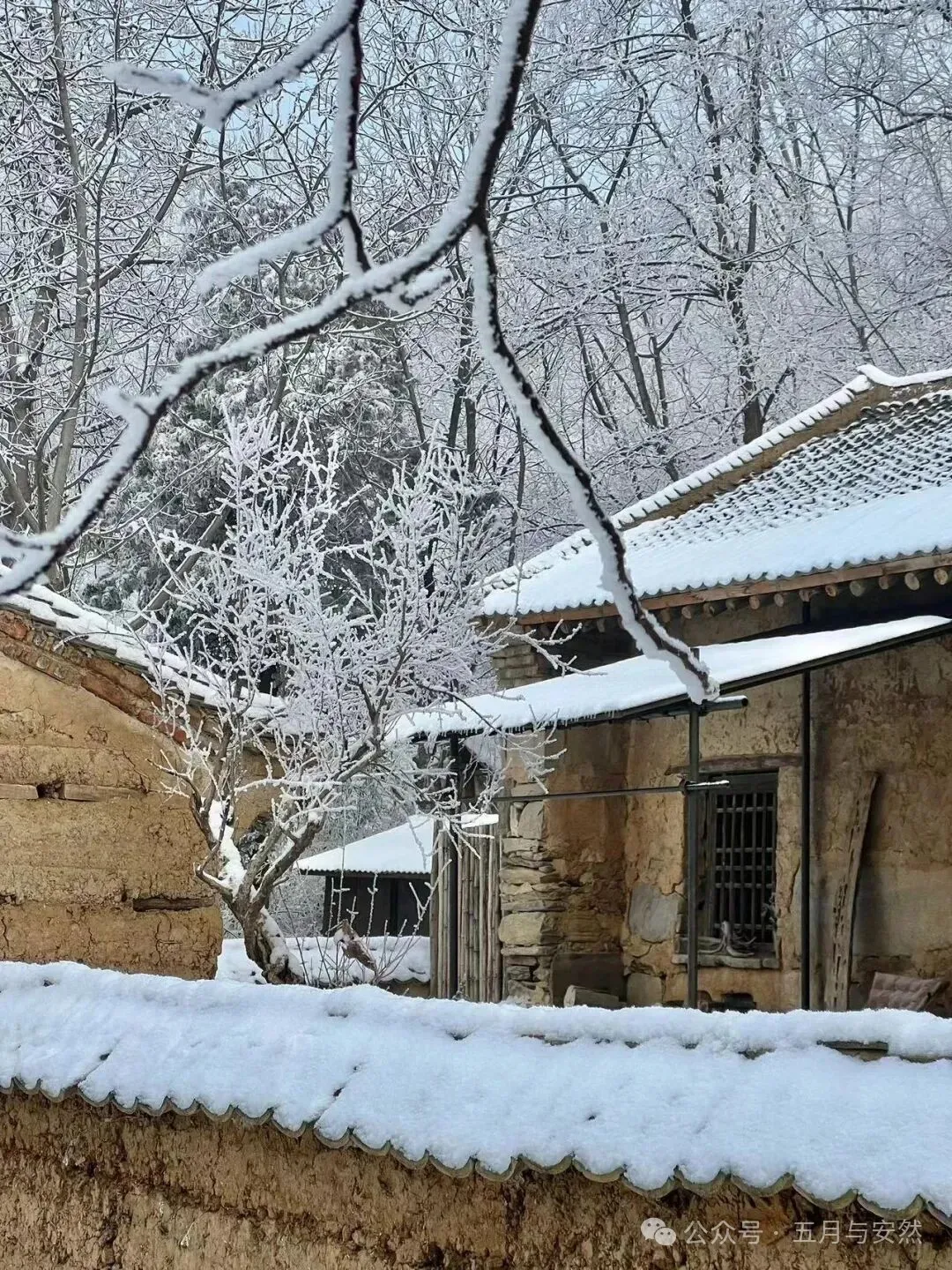 隐居终南山的他，活成了我们不敢活的模样