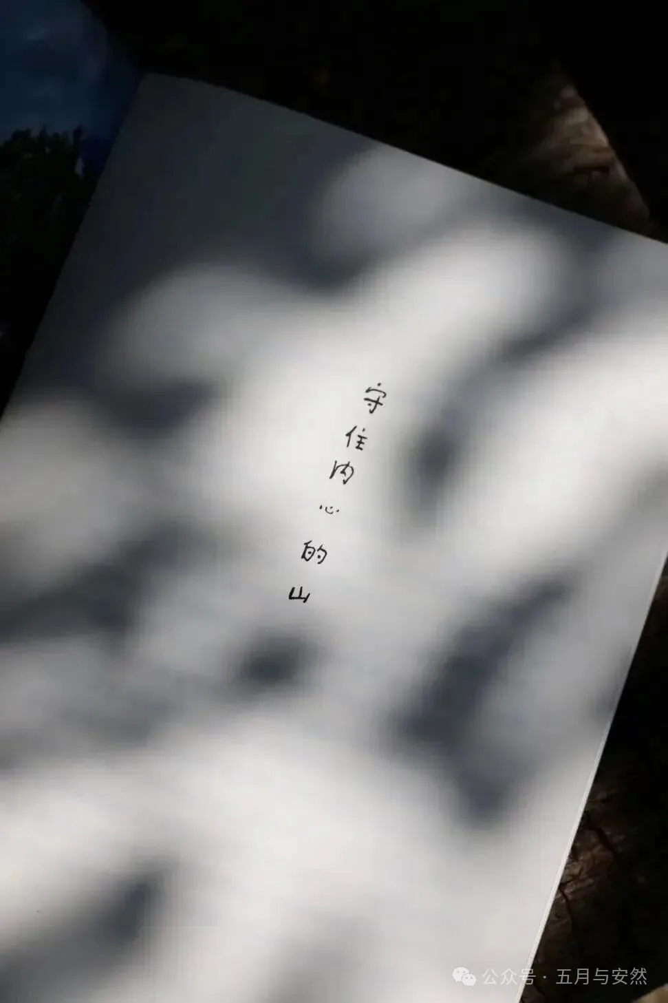 隐居终南山的他，活成了我们不敢活的模样