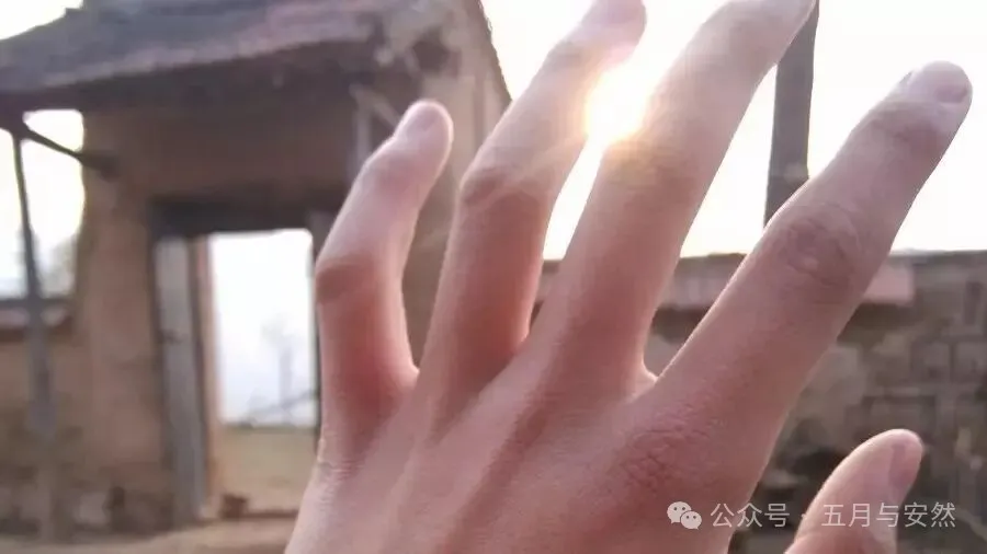 隐居终南山的他，活成了我们不敢活的模样