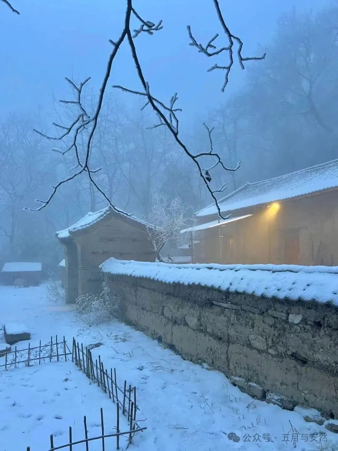 隐居终南山的他，活成了我们不敢活的模样
