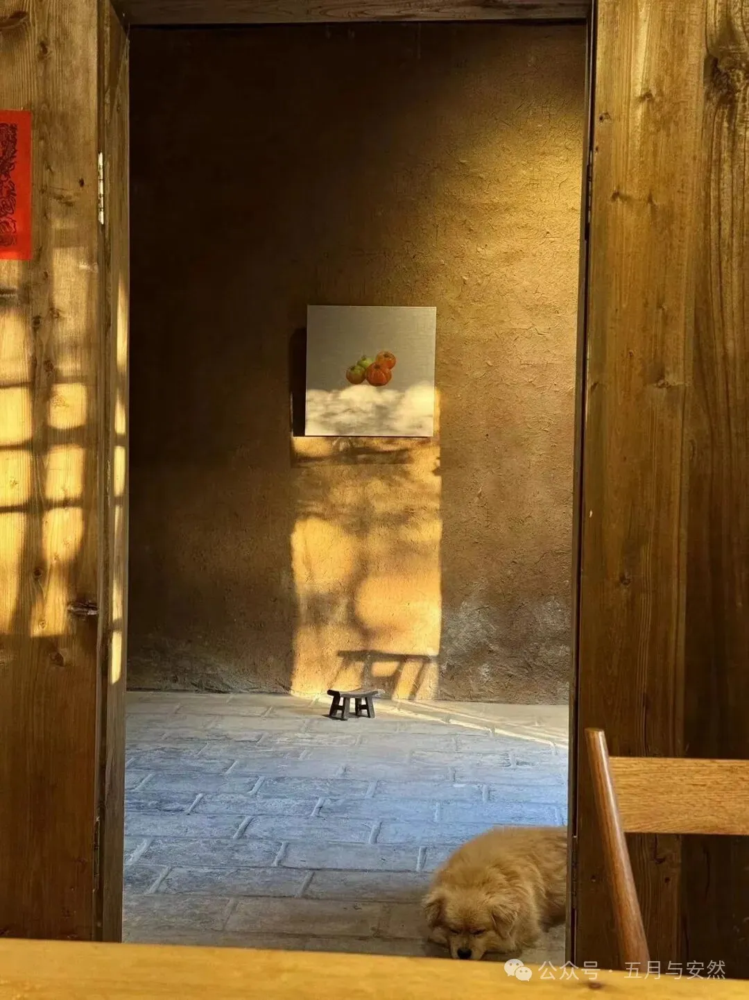 隐居终南山的他，活成了我们不敢活的模样