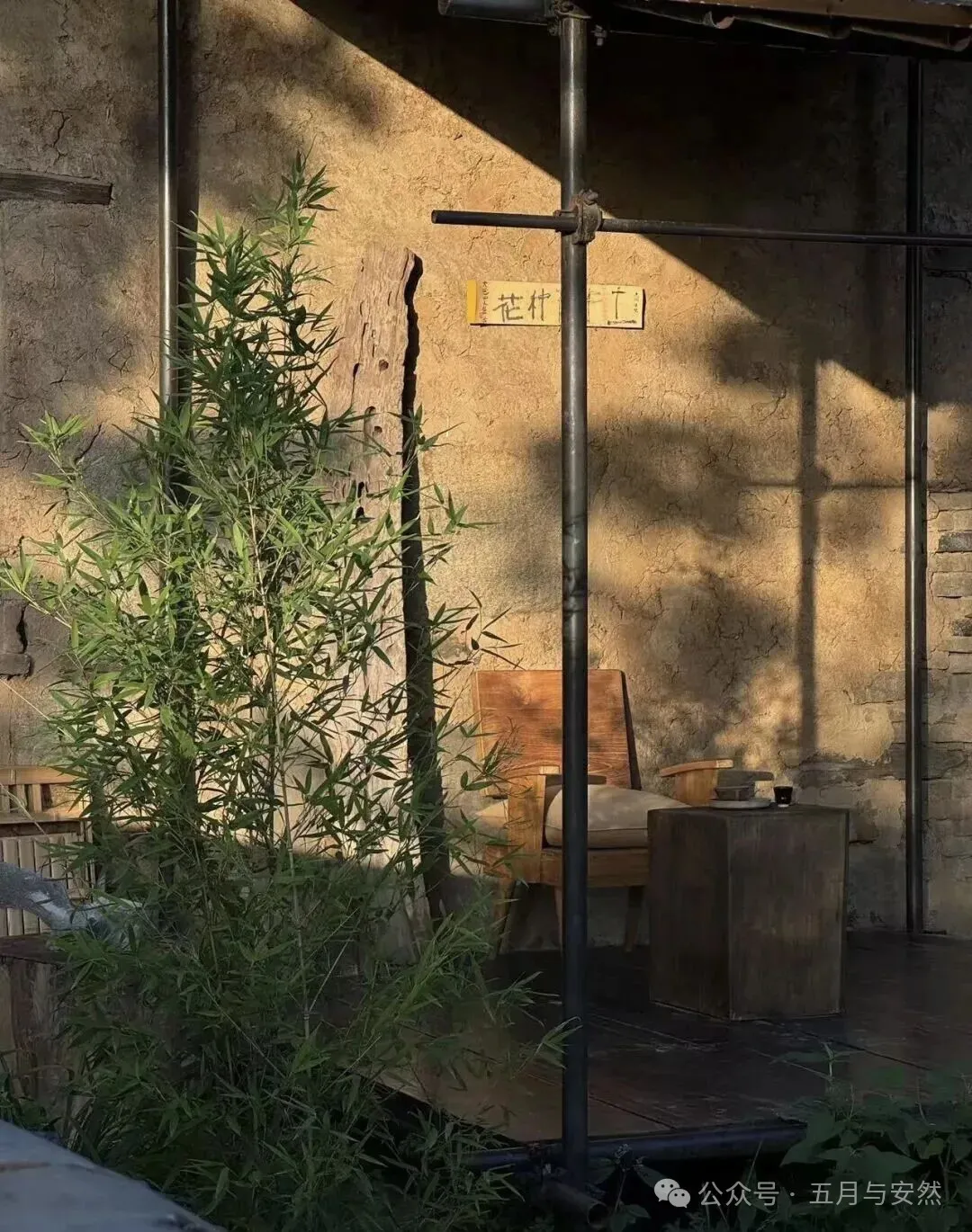 隐居终南山的他，活成了我们不敢活的模样