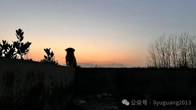 妈的2025年 妈的2025年