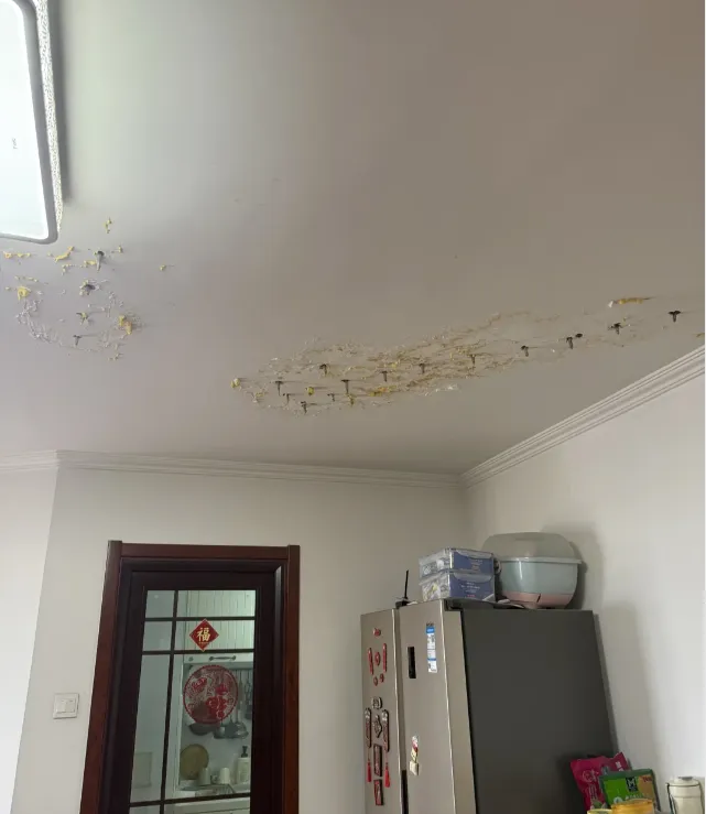 亲身经历:从顶楼换到一楼 简直天差地别 亲身经历:从顶楼换到一楼 简直天差地别