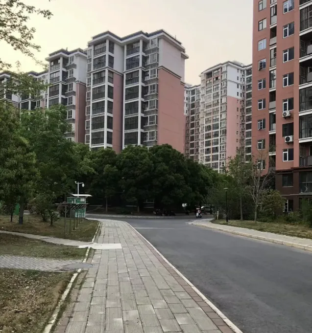 亲身经历:从顶楼换到一楼 简直天差地别 亲身经历:从顶楼换到一楼 简直天差地别