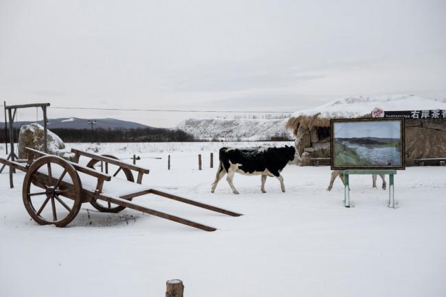 4800公里外的中国东北，普京不愿看到的一幕