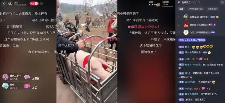 重慶女孩闖大禍!全網幫她「兜底」 重慶女孩闖大禍!全網幫她「兜底」