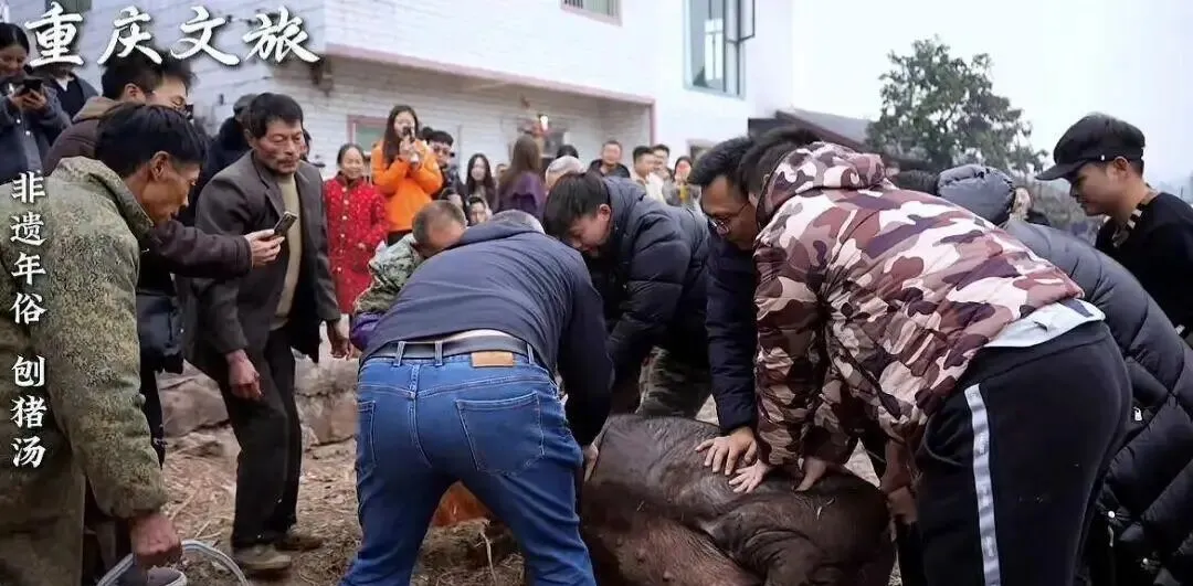 重慶女孩闖大禍!全網幫她「兜底」 重慶女孩闖大禍!全網幫她「兜底」