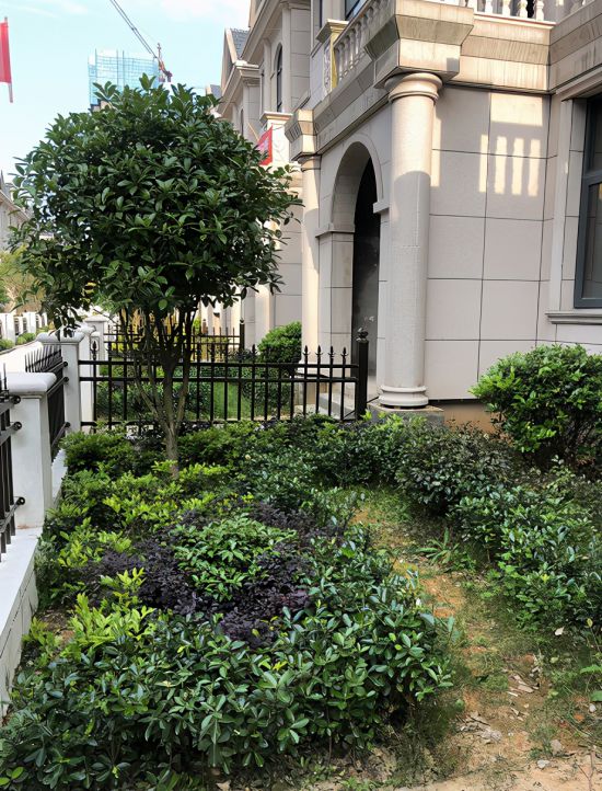 1621303737282020388-1 1621303737282020388-1