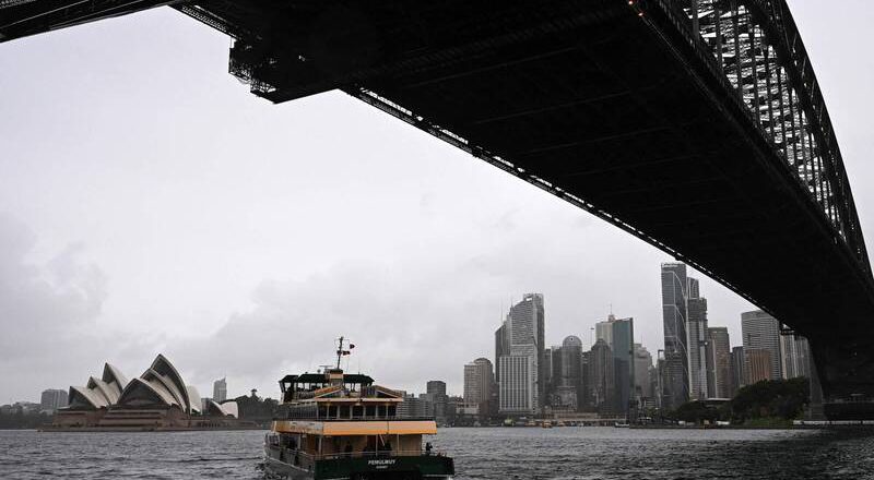「巨型客人」现身雪梨港观光！ 海事单位忙翻天