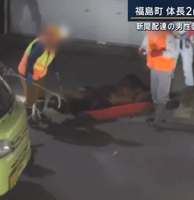 18日福岛町传出猎人们在住宅区射杀一头棕熊，经过研究机构DNA比对后，确定被射杀的棕熊是12日咬死送报员的棕熊，此外，这只棕熊4年前曾咬死77岁妇人。（图撷取自 X ） 
