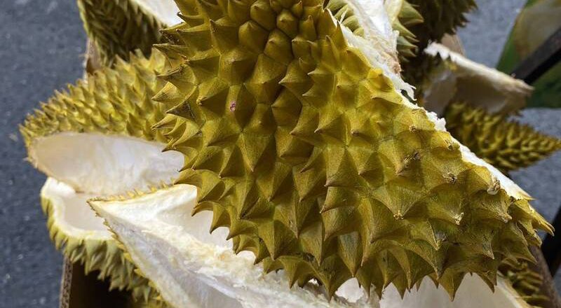 虚惊一场！ 台中后里凌晨飘瓦斯味 原来是水果腐败恶臭