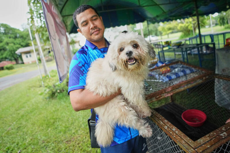 泰國畜牧部門要求其地方辦事處為動物提供安全空間。（美聯社）