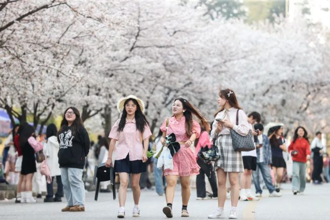 49b2-7b93a41f54fa7742ed2c89e158229f9e 49b2-7b93a41f54fa7742ed2c89e158229f9e