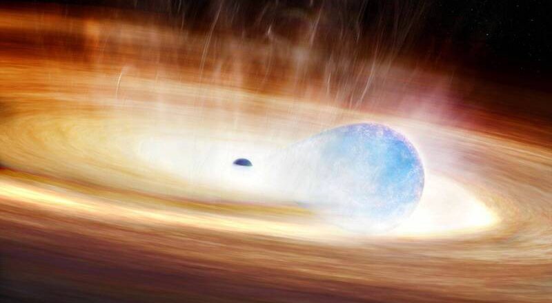恒星吞噬黑洞不成陷「致命探戈」 AI助揭新型超新星爆炸
