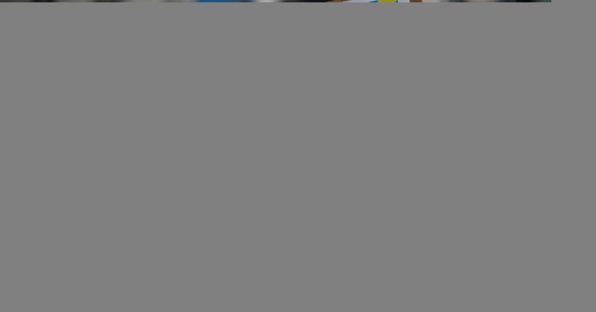美俄峰会前夕 欧方提5原则盼川普促成停火