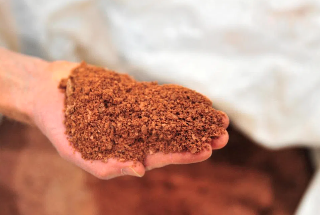 20251015_17605539289601