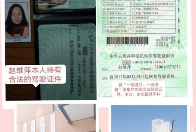 赵维萍进京上访被截回后关进崇明横沙岛