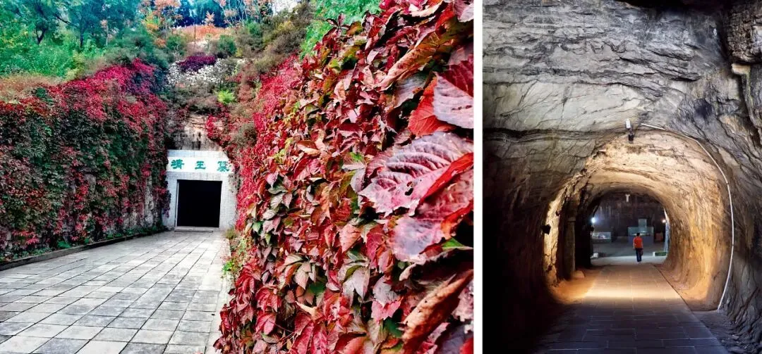 20251115_17632342685207