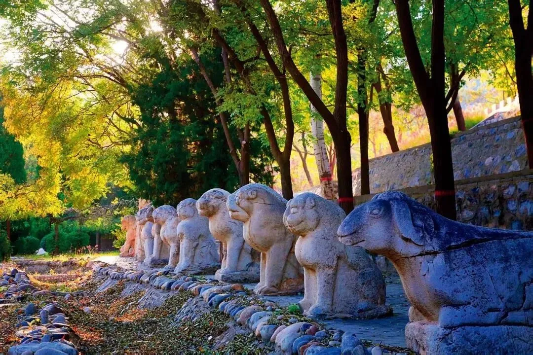 20251115_17632342689802