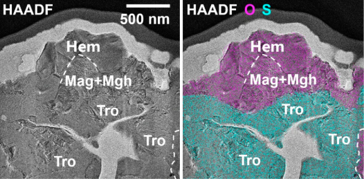 20251116_17633576349095 20251116_17633576349095