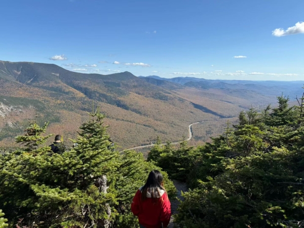 id14632104-187292-600x450-1 id14632104-187292-600x450-1