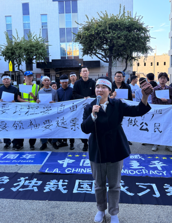 id14642599-2dffab83df0c34a36add72db5159023f-600x778-1