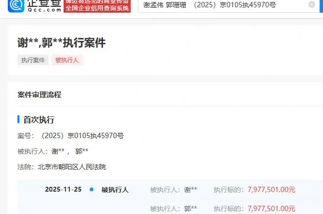 “嘎子”谢孟伟夫妇再被执行797万 此前被执行超1400万