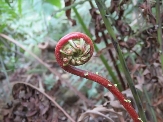 美中同时间亮出各自最新绝活！震撼全球